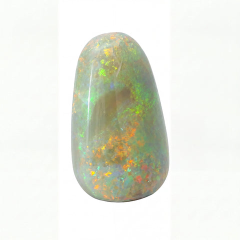 A polished teardrop-shaped opal stone with a smooth, glossy finish, showcasing a mix of grey, green, orange, and yellow flashes on a white background.