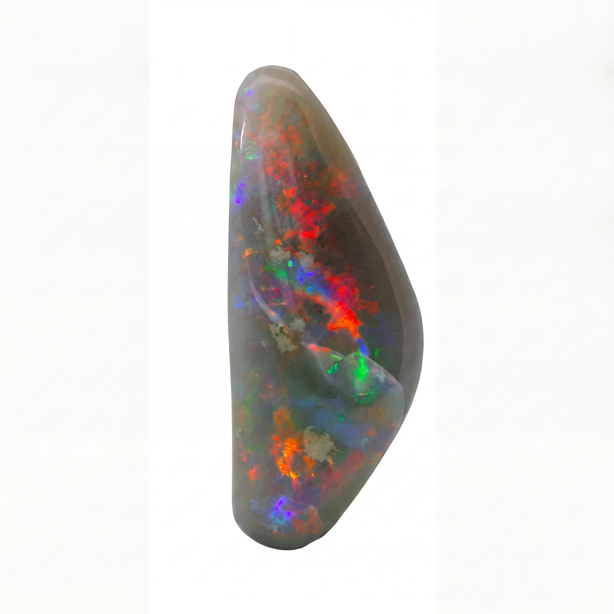 A polished black opal gemstone with vibrant, shifting flashes of red, orange, green, and blue, set against a plain white background.