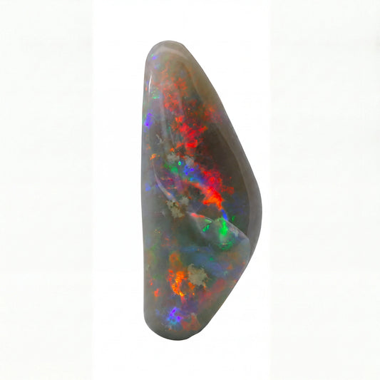 A polished black opal gemstone with vibrant, shifting flashes of red, orange, green, and blue, set against a plain white background.