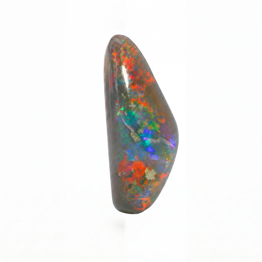 A polished natural opal gemstone with a teardrop shape, displaying a mix of dark grey-brown base tones and vivid iridescent flashes of red, orange, blue, green, and purple on a clean white background.