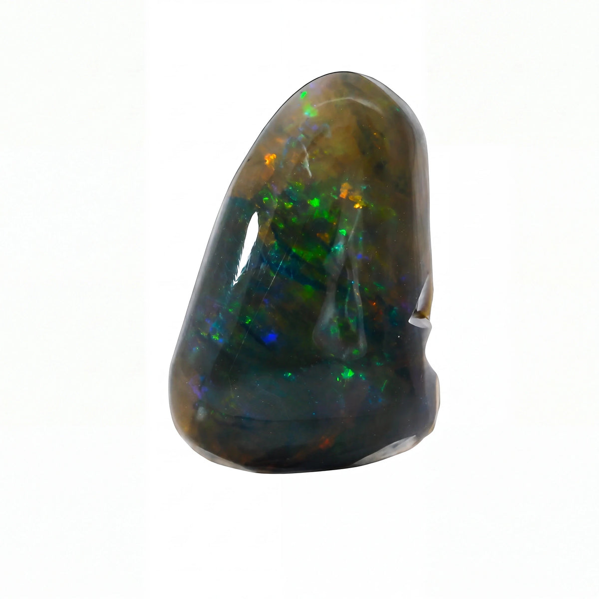A polished natural opal gemstone with a dark brown and black base showing vibrant flashes of green, blue, orange, and red, set against a plain white background.