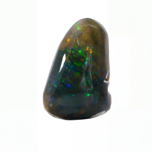 A polished natural opal gemstone with a dark brown and black base showing vibrant flashes of green, blue, orange, and red, set against a plain white background.