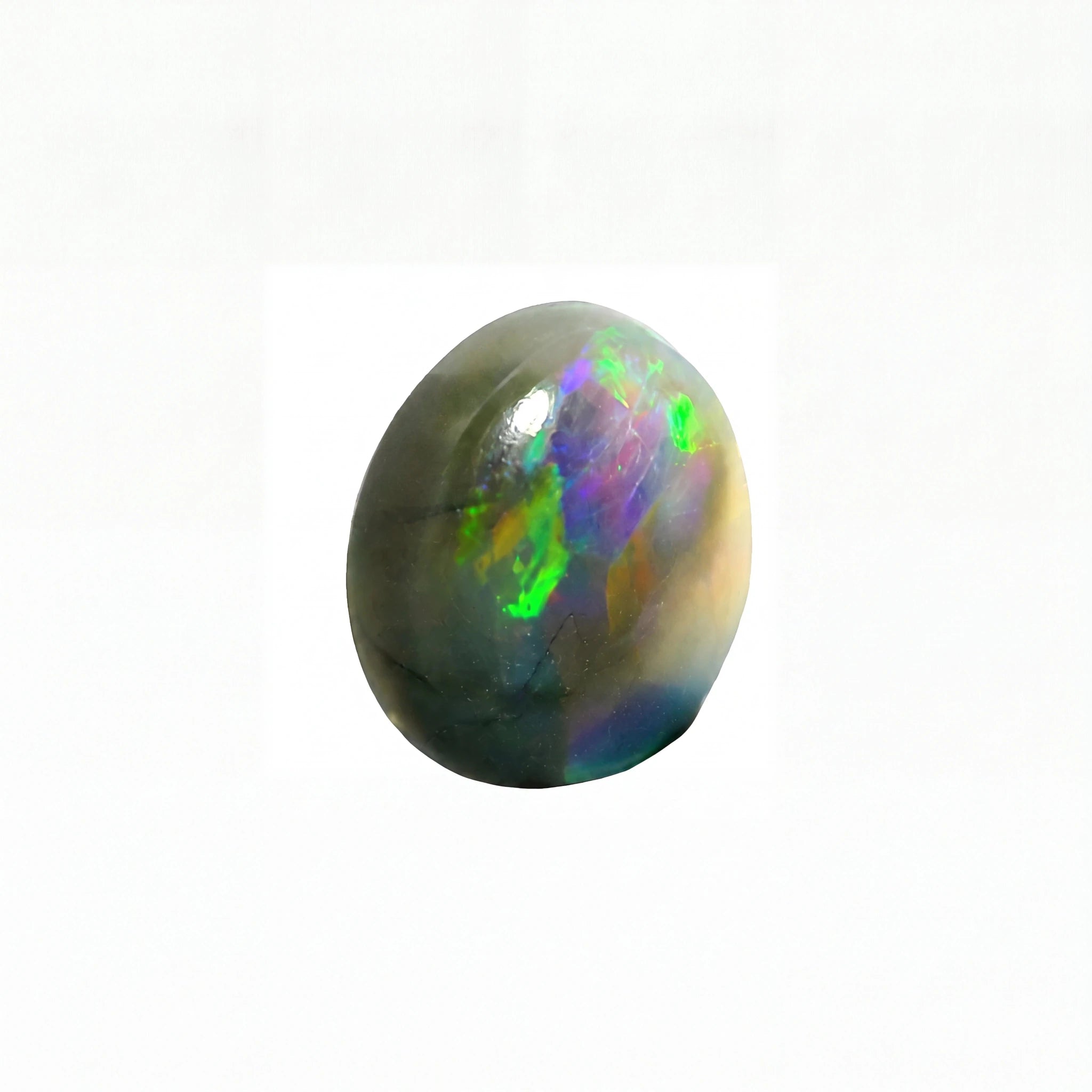 A polished oval opal stone with a dark grey base and vibrant iridescent flashes of green, blue, purple, and pink, set against a plain white background.