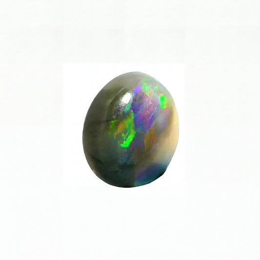 A polished oval opal stone with a dark grey base and vibrant iridescent flashes of green, blue, purple, and pink, set against a plain white background.