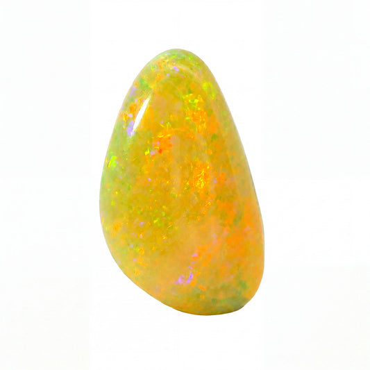 A polished teardrop-shaped opal gemstone displaying vibrant flashes of yellow, orange, and green on a solid white background.