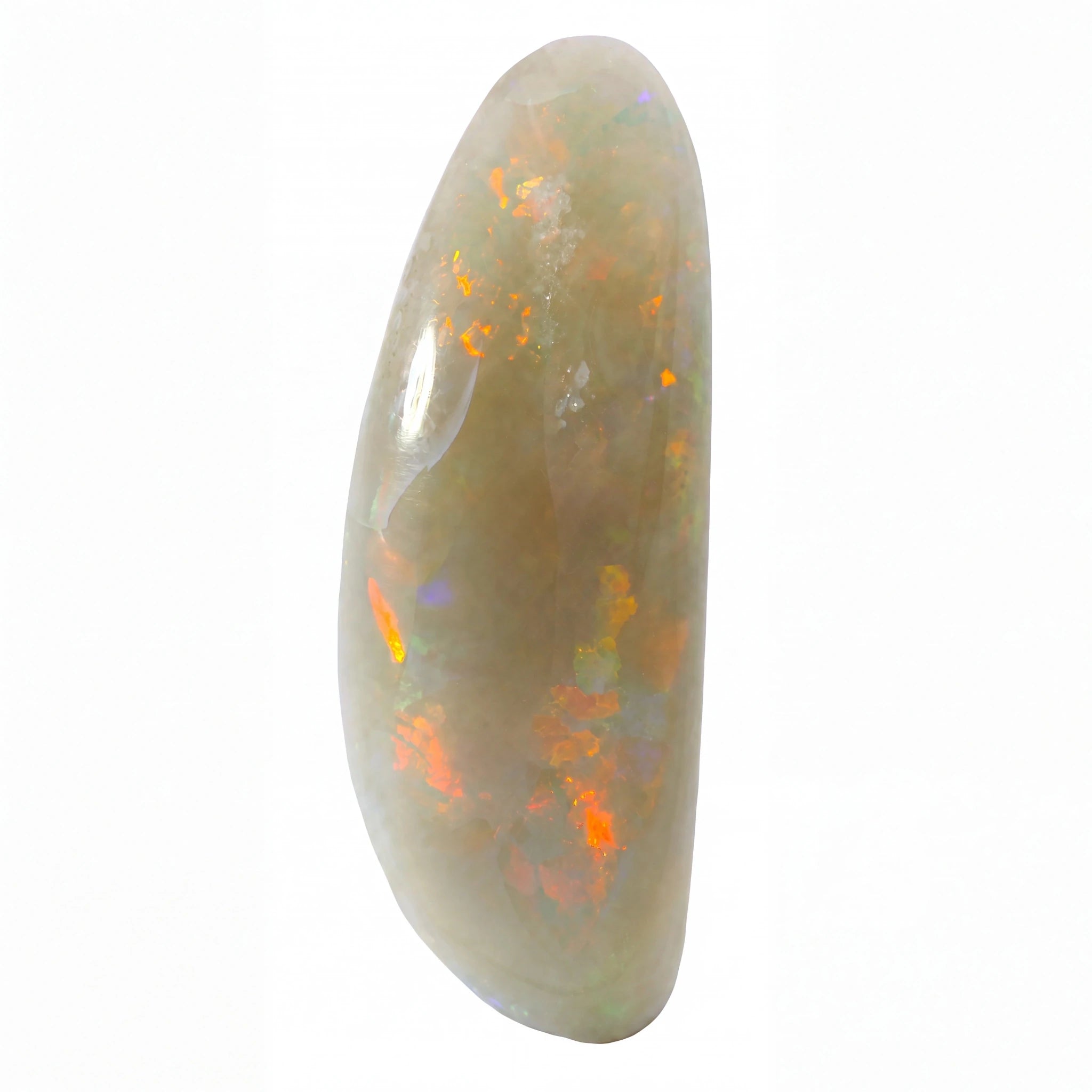 A polished teardrop-shaped white opal gemstone with vibrant orange, yellow, and green flashes, shown on a solid white background.