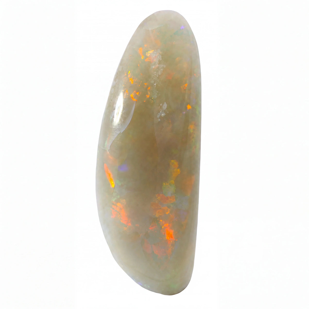 A polished teardrop-shaped white opal gemstone with vibrant orange, yellow, and green flashes, shown on a solid white background.