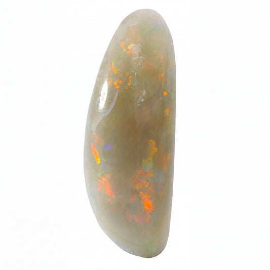 A polished teardrop-shaped white opal gemstone with vibrant orange, yellow, and green flashes, shown on a solid white background.