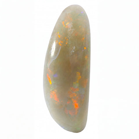 A polished teardrop-shaped white opal gemstone with vibrant orange, yellow, and green flashes, shown on a solid white background.