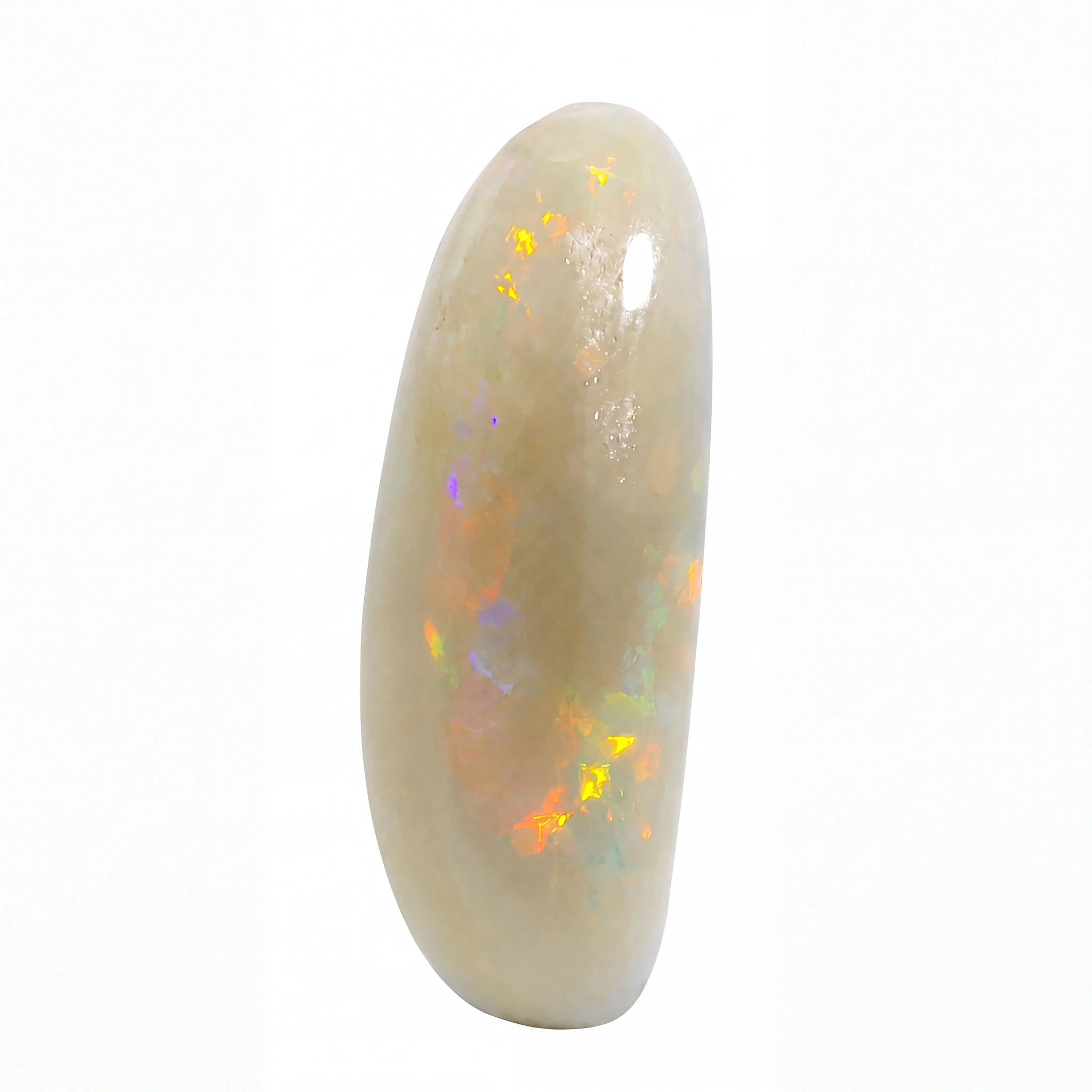 A polished oval cabochon gemstone with a creamy beige base and vibrant iridescent flashes of orange, yellow, green, and blue, set against a plain white background.