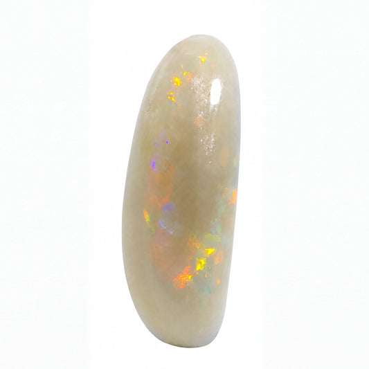 A polished oval cabochon gemstone with a creamy beige base and vibrant iridescent flashes of orange, yellow, green, and blue, set against a plain white background.