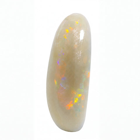 A polished oval cabochon gemstone with a creamy beige base and vibrant iridescent flashes of orange, yellow, green, and blue, set against a plain white background.