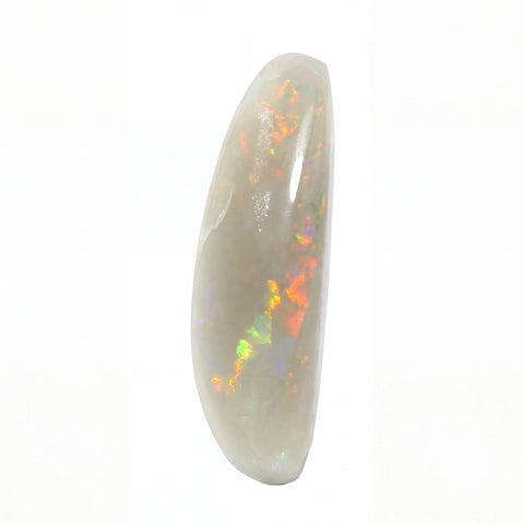 A polished oval cabochon opal gemstone showing a white base with vibrant flashes of orange, red, green, and blue iridescence, isolated on a white background.