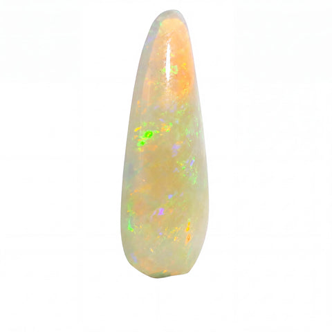 A teardrop-shaped white opal gemstone with vibrant iridescent flashes of green, orange, and blue, set against a plain white background.