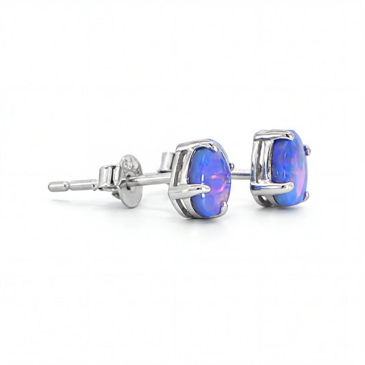 Dark Opal Earrings in 925 Sterling Silver - Green-Blue - Australian Opal Cutters and Pearl Divers
