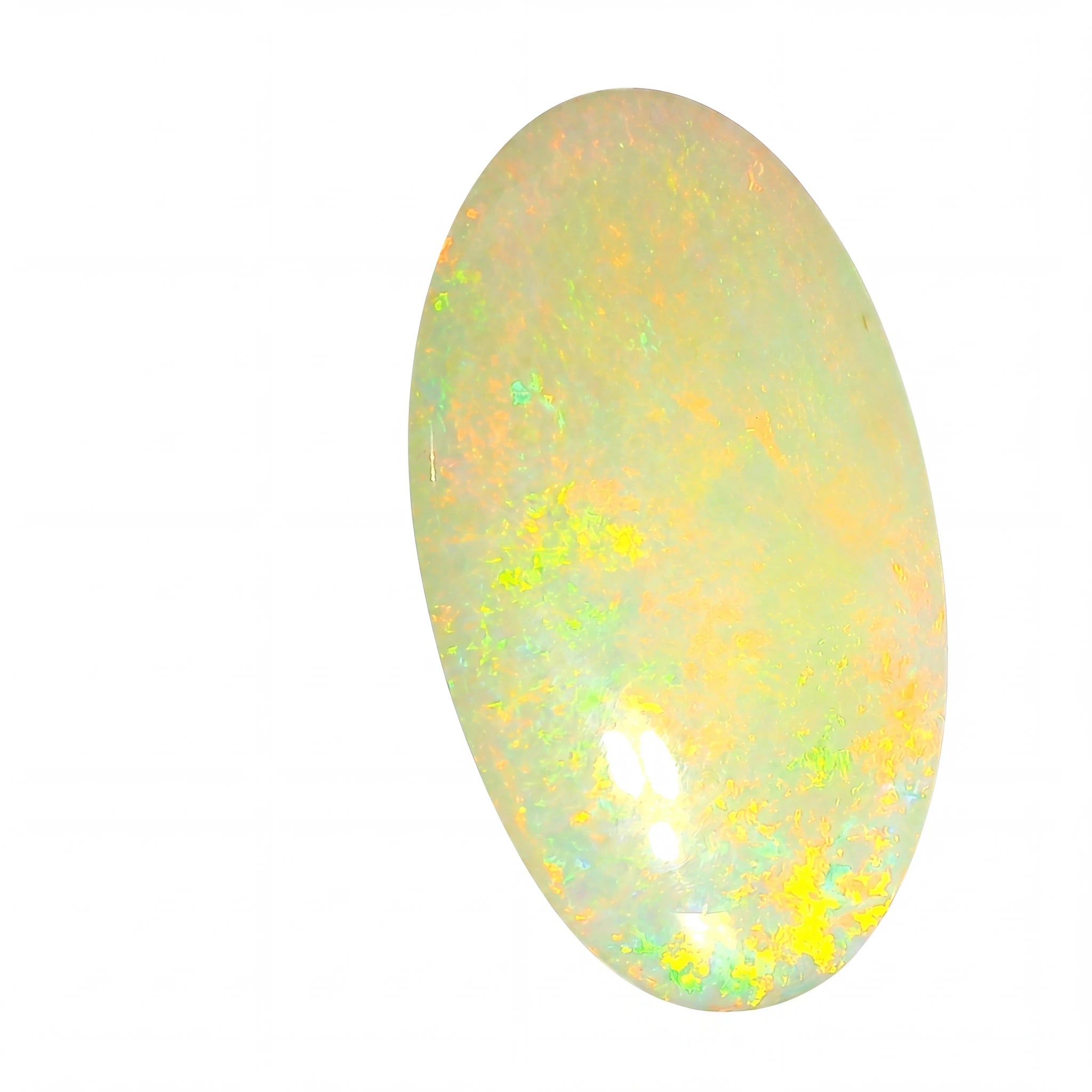 Oval-shaped opal gemstone with multicolour play on a white background