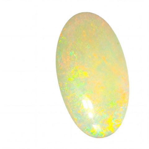 Oval-shaped opal gemstone with multicolour play on a white background