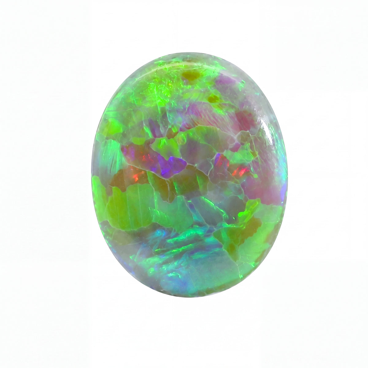 A polished oval opal gemstone displaying vibrant iridescent colors including green, blue, purple, and hints of orange, set against a plain white background.