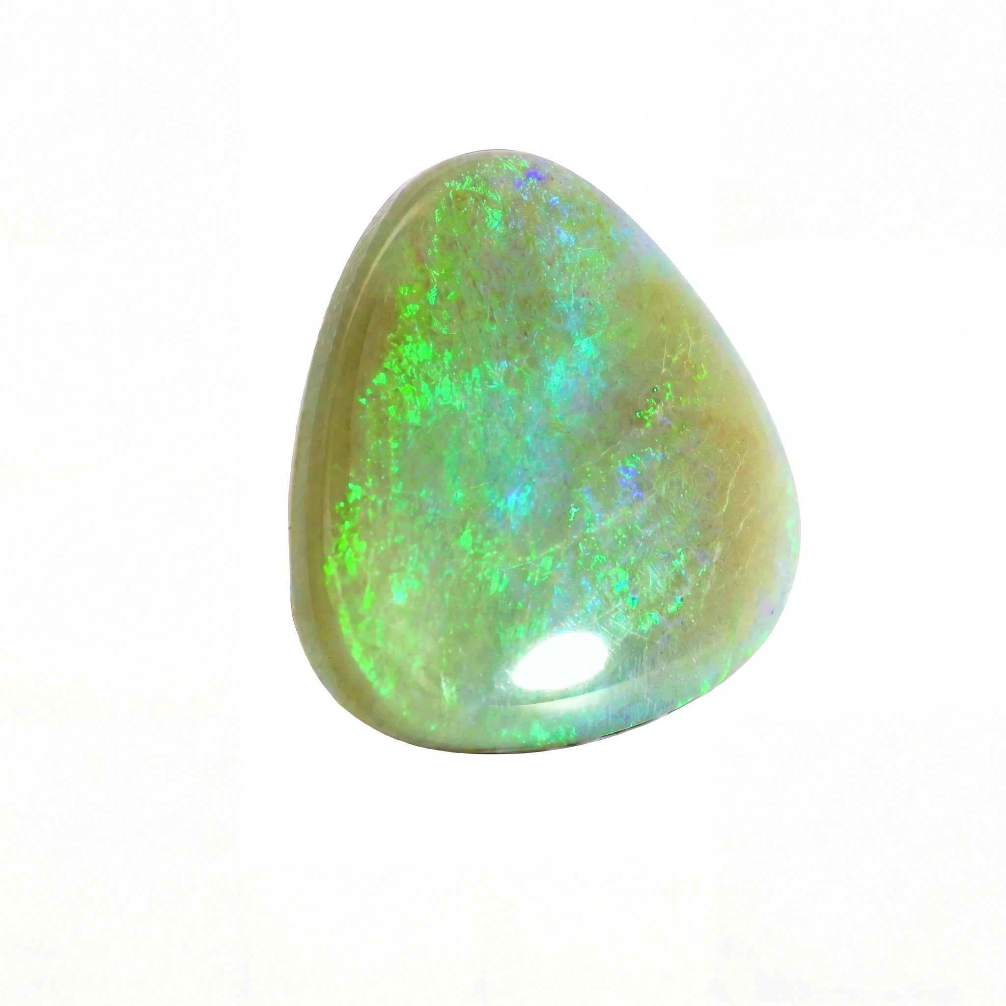 A polished teardrop-shaped opal gemstone showing vibrant green, blue, and orange flashes on a white background.