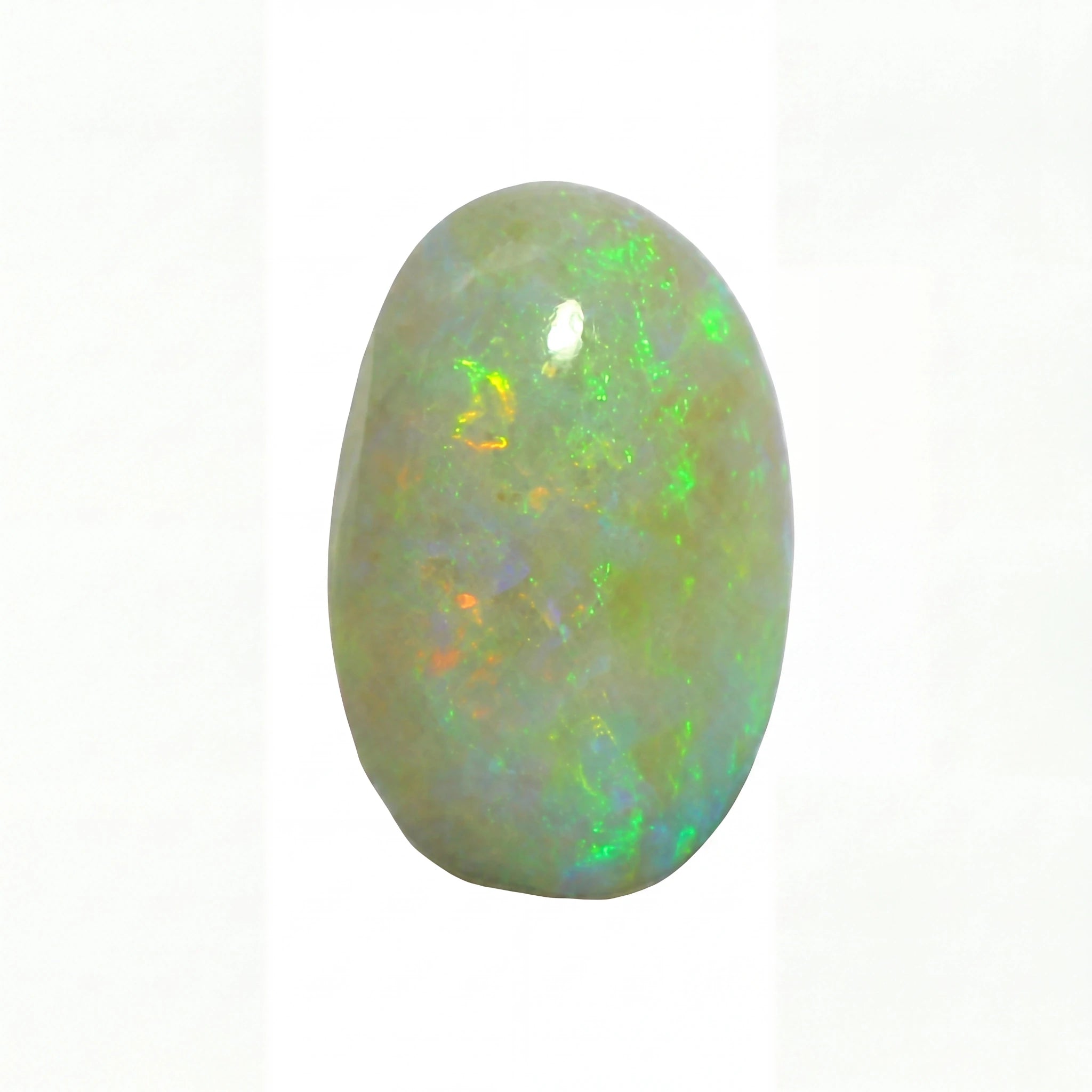 A single polished oval opal gemstone with iridescent flashes of green, blue, orange, and white on a pale grеy-green base, centred on a plain white background.