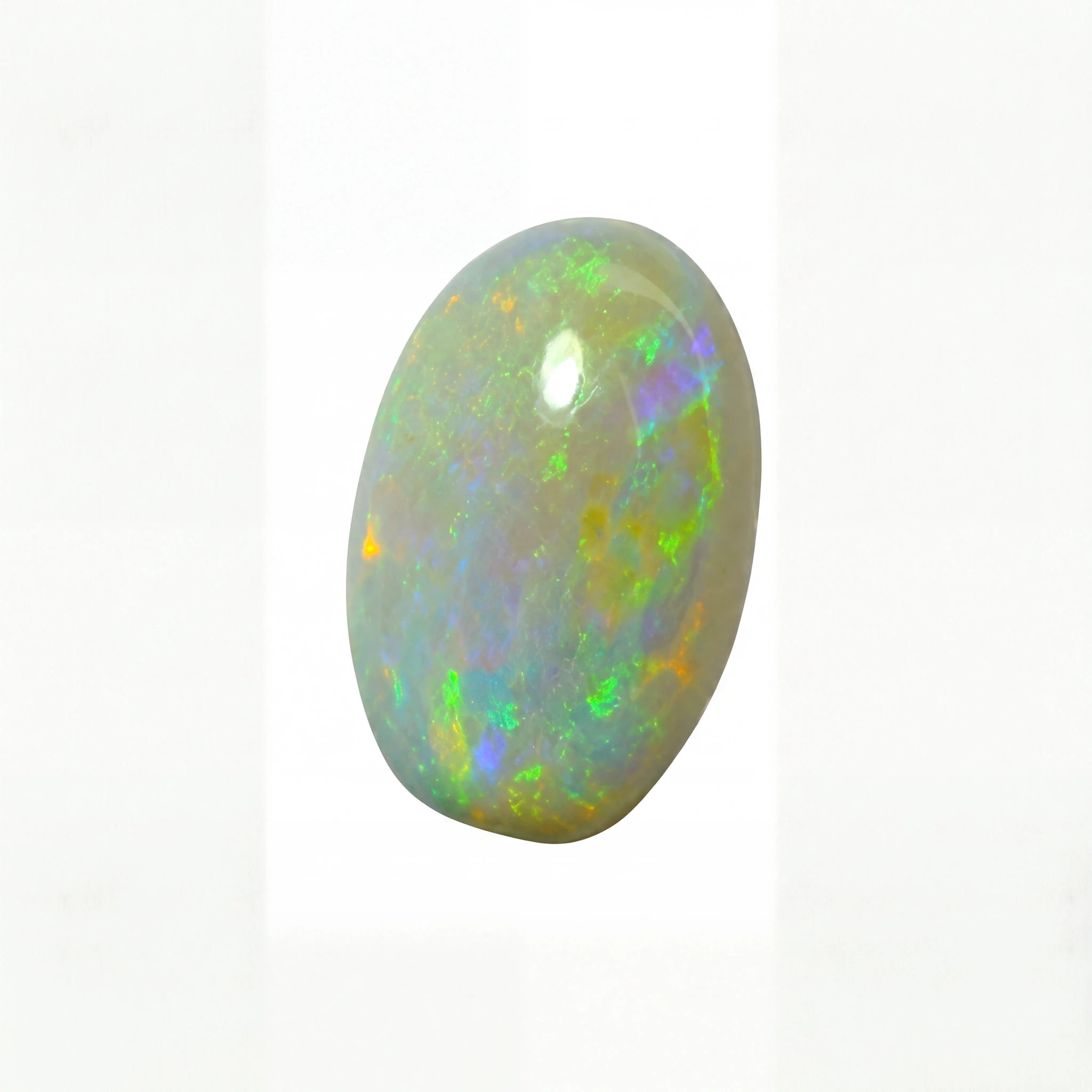 A polished oval cabochon opal gemstone displaying vibrant iridescent flashes of green, blue, orange, and yellow on a white background.