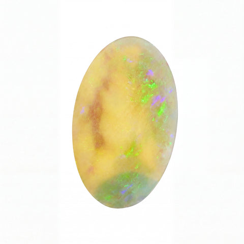 A polished oval cabochon opal gemstone displaying a creamy yellow base with vibrant flashes of green, purple, and brown, set against a plain white background.