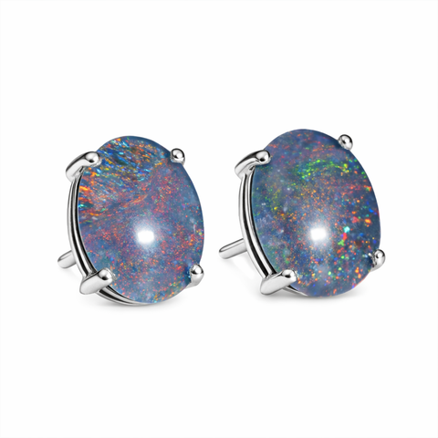 Multicolour_Multicolor_MC