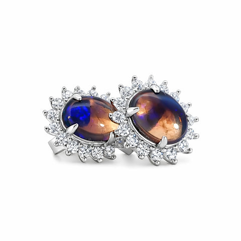 Dark Opal Earrings in 925 Sterling Silver - Australian Opal Cutters and Pearl Divers