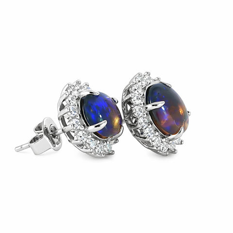 Dark Opal Earrings in 925 Sterling Silver - Australian Opal Cutters and Pearl Divers