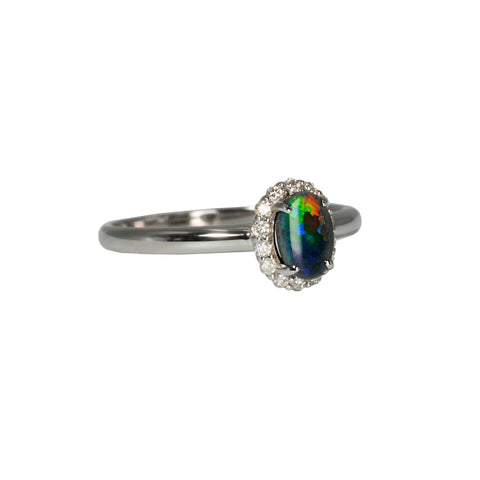 Black Opal Ring in 18K White Gold - Multicolour