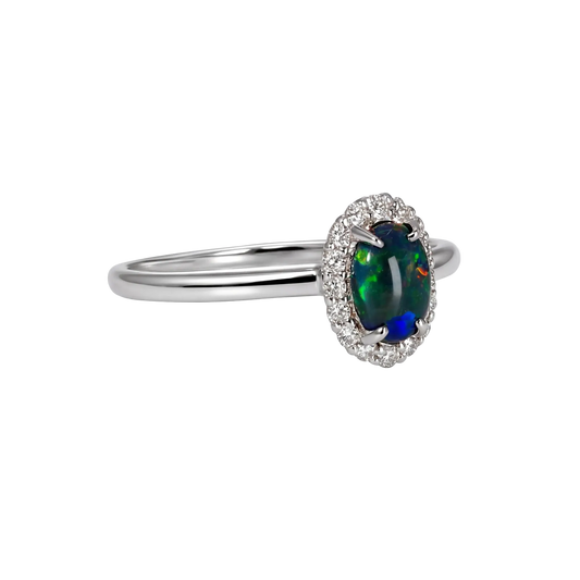 Black Opal Ring in 18K White Gold - Multicolour - Australian Opal Cutters and Pearl Divers