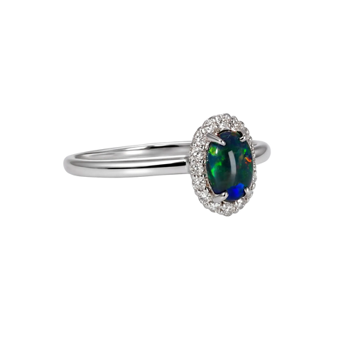 Black Opal Ring in 18K White Gold - Multicolour - Australian Opal Cutters and Pearl Divers