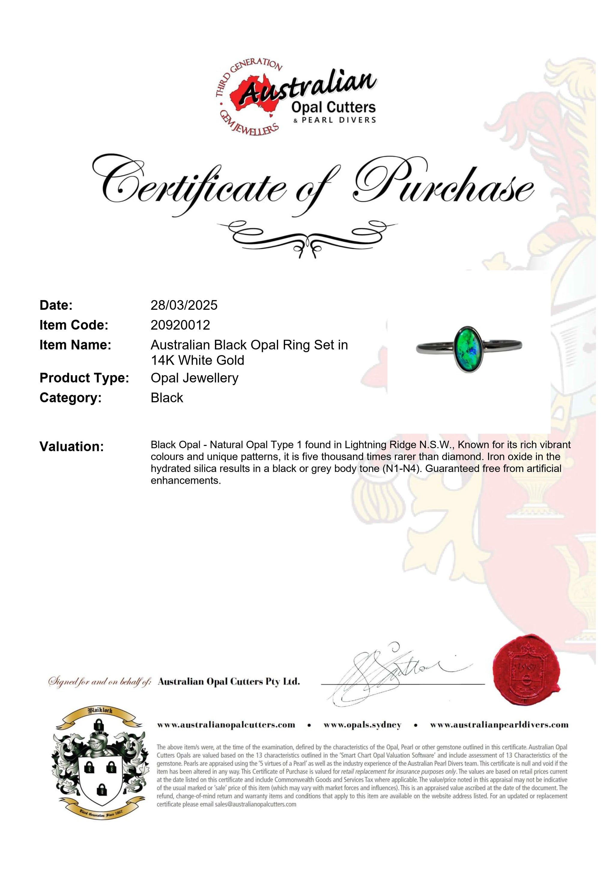 Black Opal Ring in 14K White Gold - Green-Blue