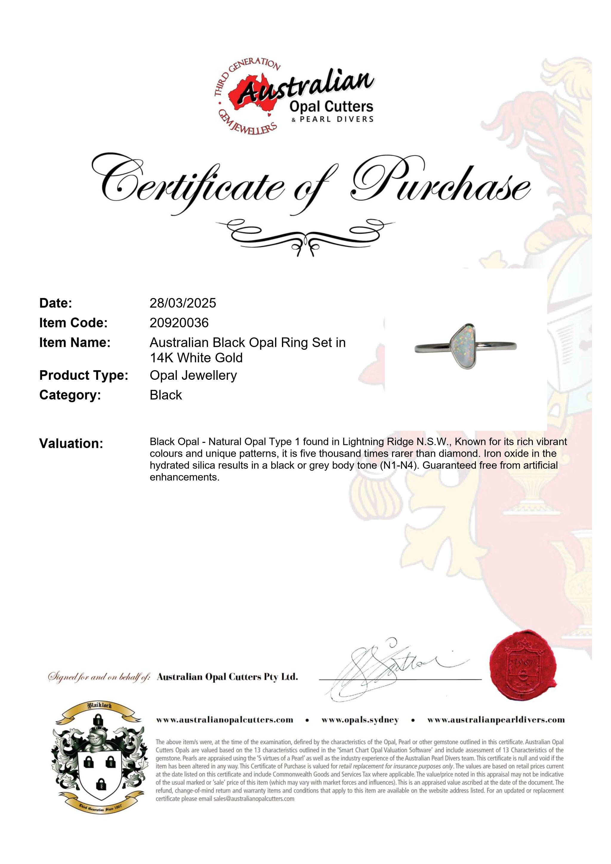 Black Opal Ring in 14K White Gold - Multicolour