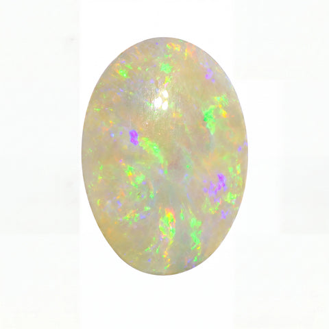 Oval-shaped opal gemstone with multicoloured play of light on a white background
