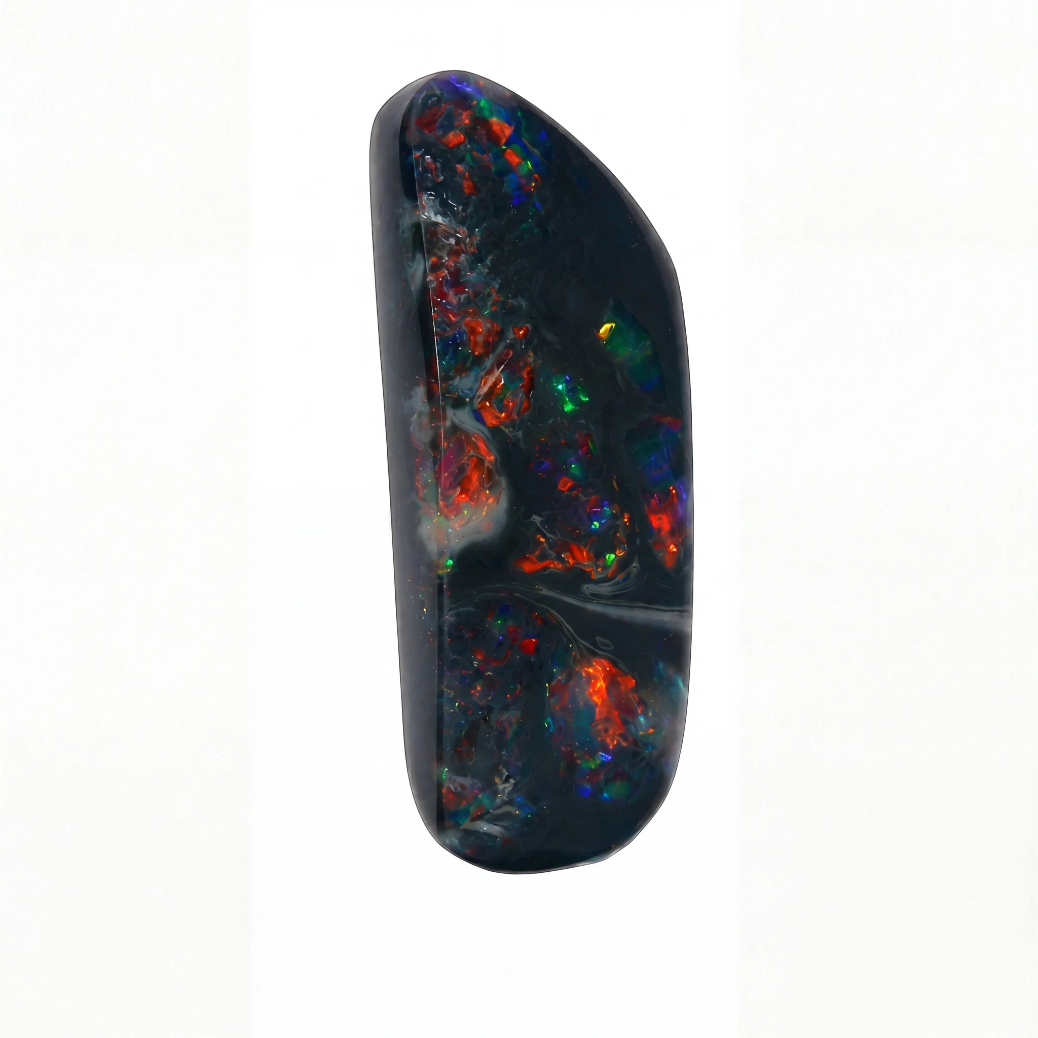 A polished black opal gemstone with vibrant, multicoloured flashes of red, orange, green, and blue, set against a plain white background.