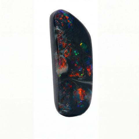 A polished black opal gemstone with vibrant, multicoloured flashes of red, orange, green, and blue, set against a plain white background.