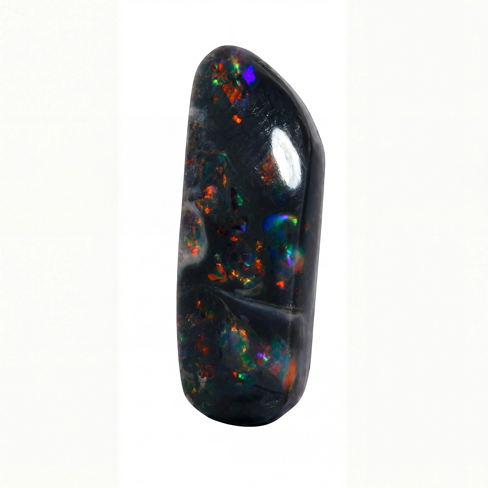 A polished black opal gemstone cabochon with vibrant multicolour flashes of blue, green, orange, and red, set against a plain white background.