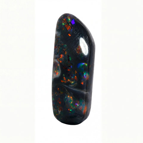 A polished black opal gemstone cabochon with vibrant multicolour flashes of blue, green, orange, and red, set against a plain white background.