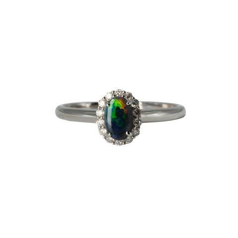 Black Opal Ring in 18K White Gold - Multicolour - Australian Opal Cutters and Pearl Divers
