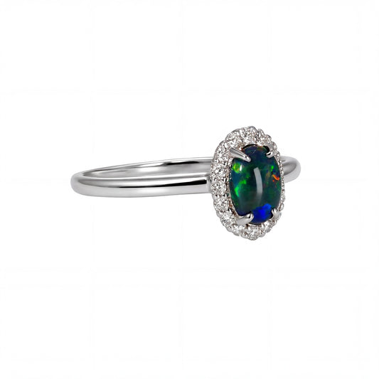 Black Opal Ring in 18K White Gold - Multicolour - Australian Opal Cutters and Pearl Divers