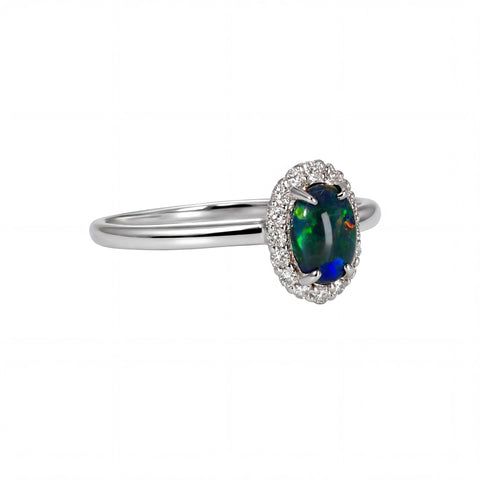 Black Opal Ring in 18K White Gold - Multicolour - Australian Opal Cutters and Pearl Divers