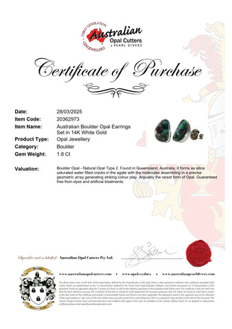 Boulder Opal Earrings in 14K White Gold - Green-Blue - Australian Opal Cutters and Pearl Divers