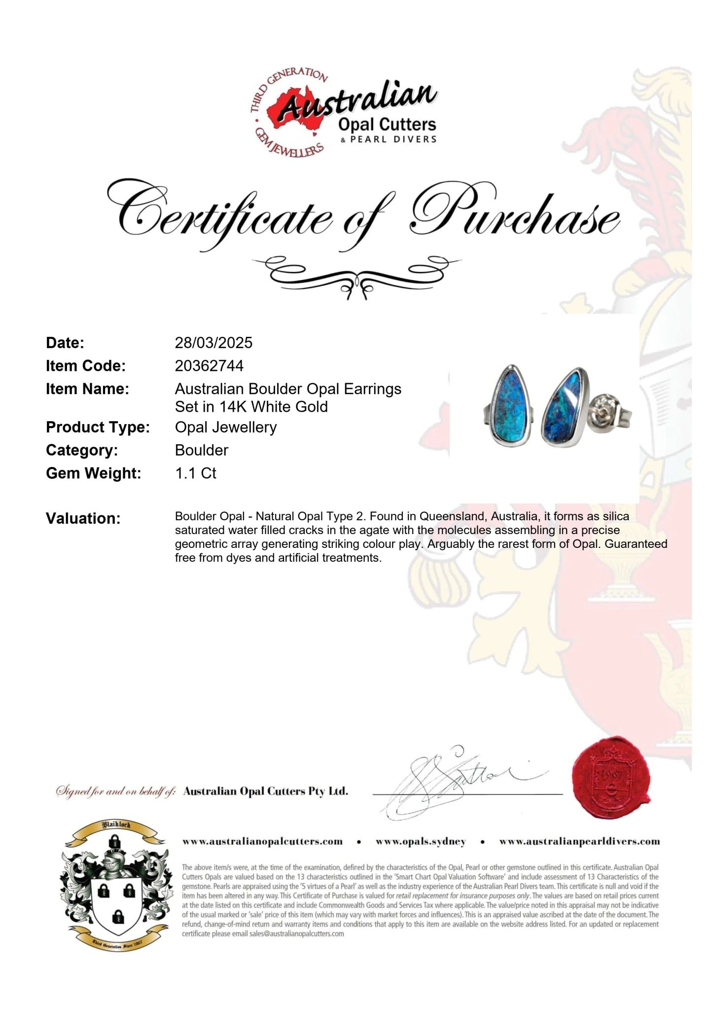Boulder Opal Earrings in 14K White Gold - Green-Blue - Australian Opal Cutters and Pearl Divers