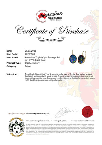 Triplet Opal Earrings in 14K Yellow Gold - Multicolour - Australian Opal Cutters and Pearl Divers